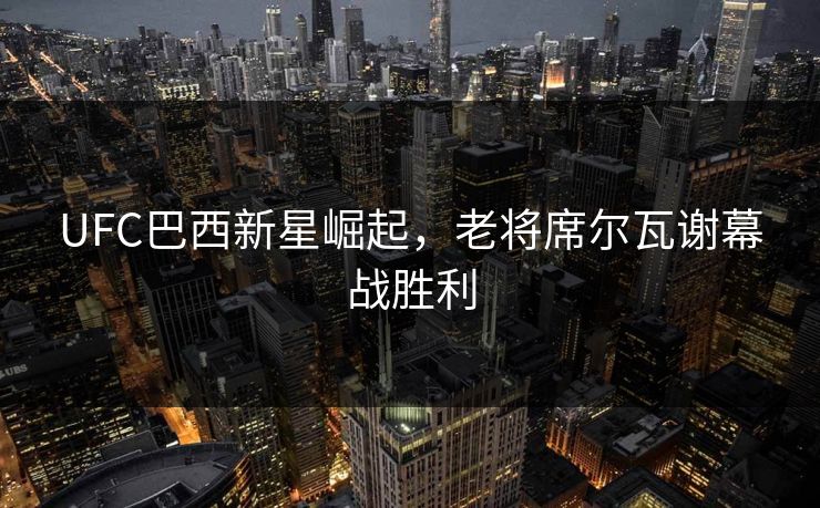 UFC巴西新星崛起,老将席尔瓦谢幕战胜利 UFC巴西新星崛起,老将席尔瓦谢幕战胜利